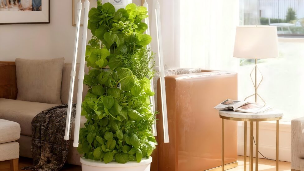 How Often Should Hydroponics Run A Complete Timing Guide