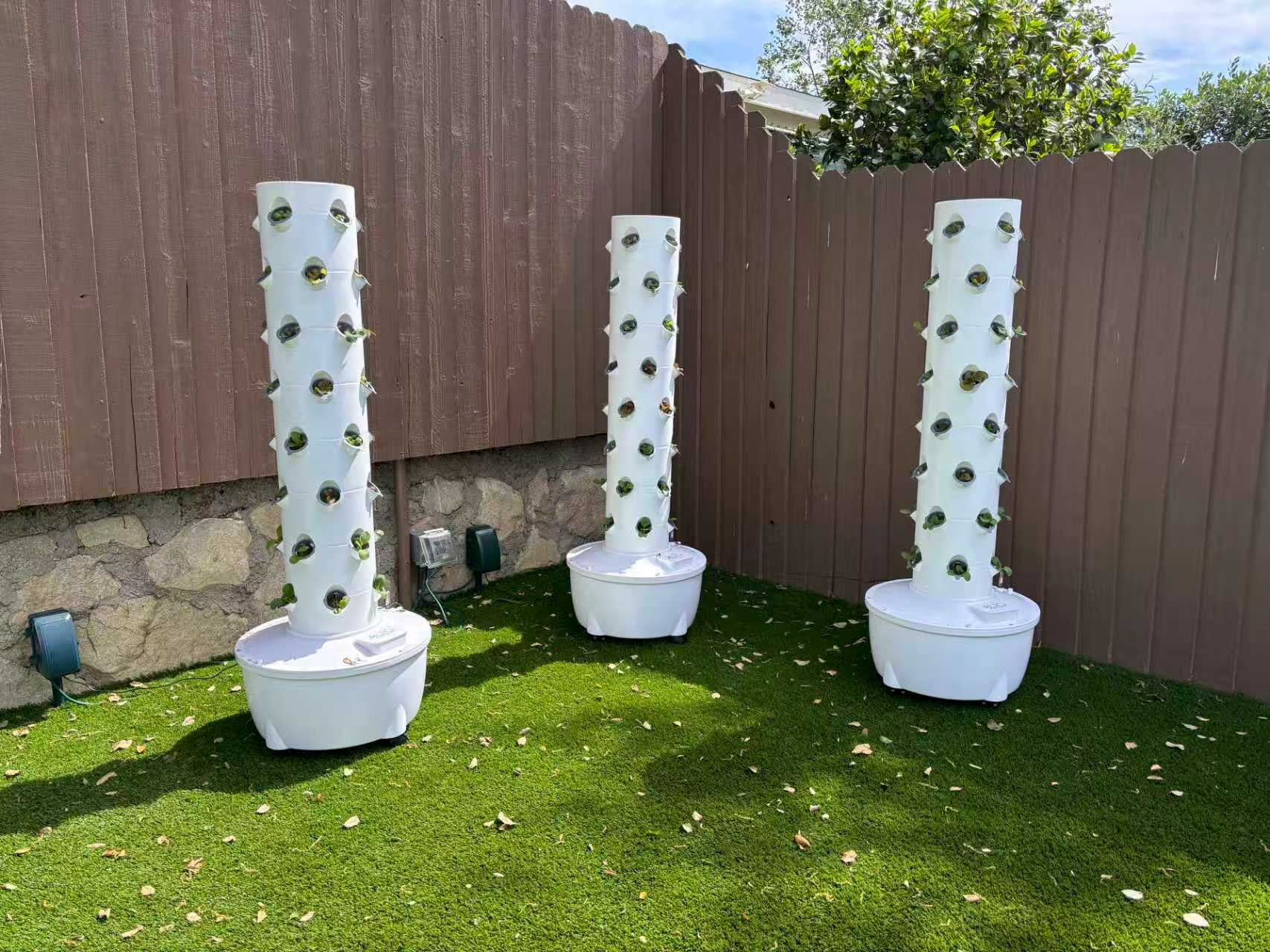 What Can You Grow in a Hydroponic Tower Plant Guide