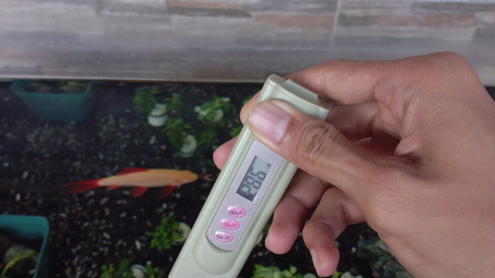 Why pH Increase in Hydroponics-The Top Causes and How to Fix It