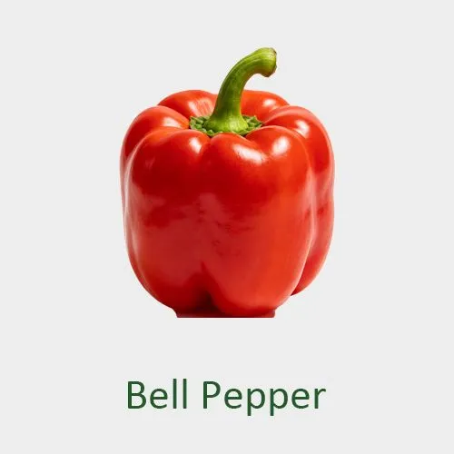 Bell Pepper