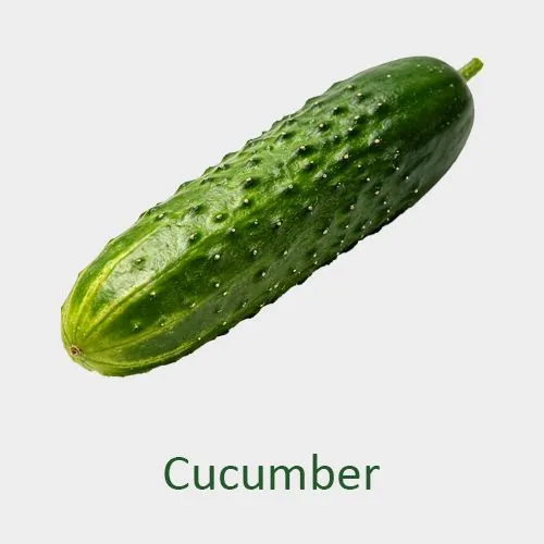 Cucumber