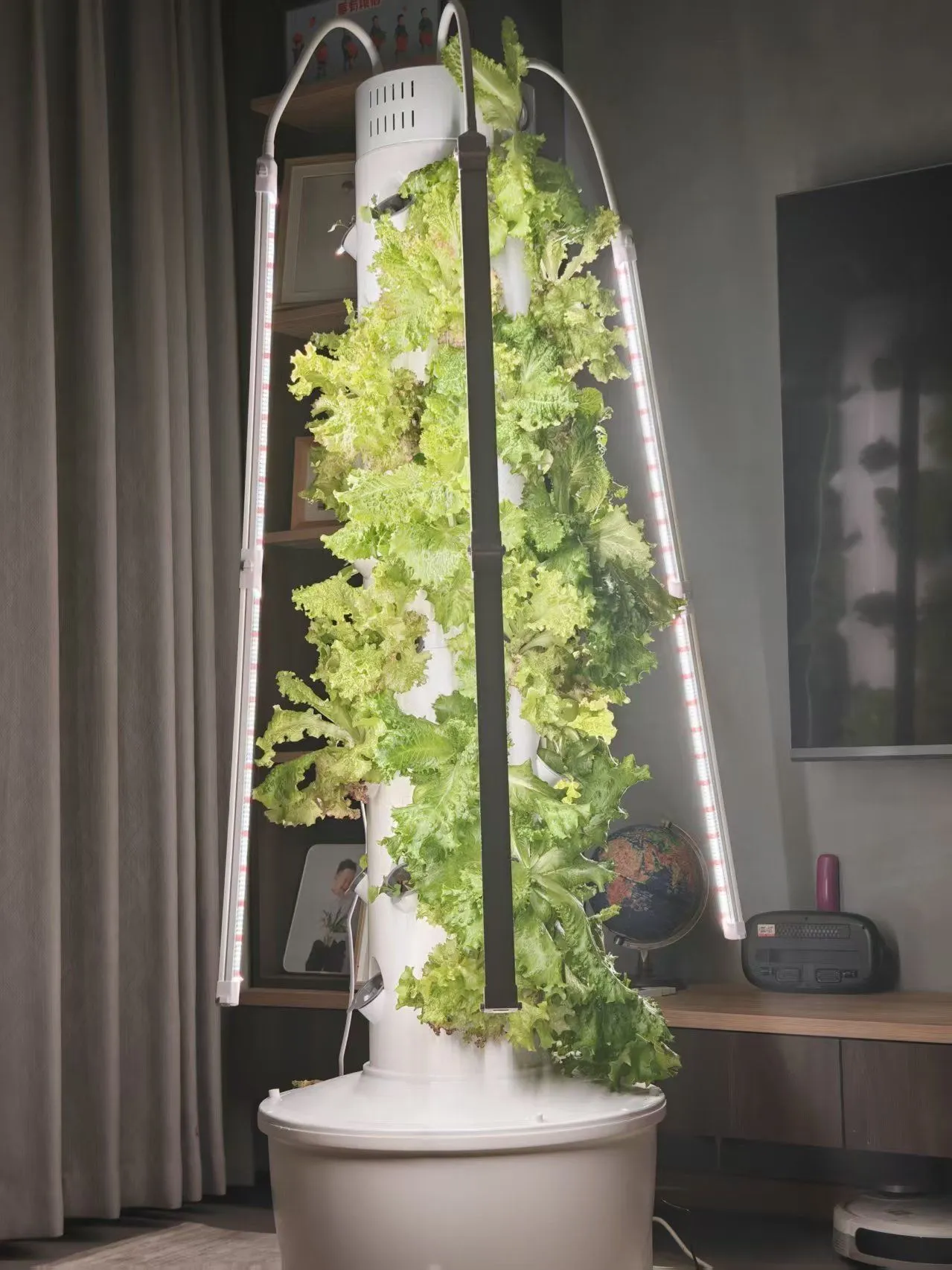 Hydroponic Tower at home