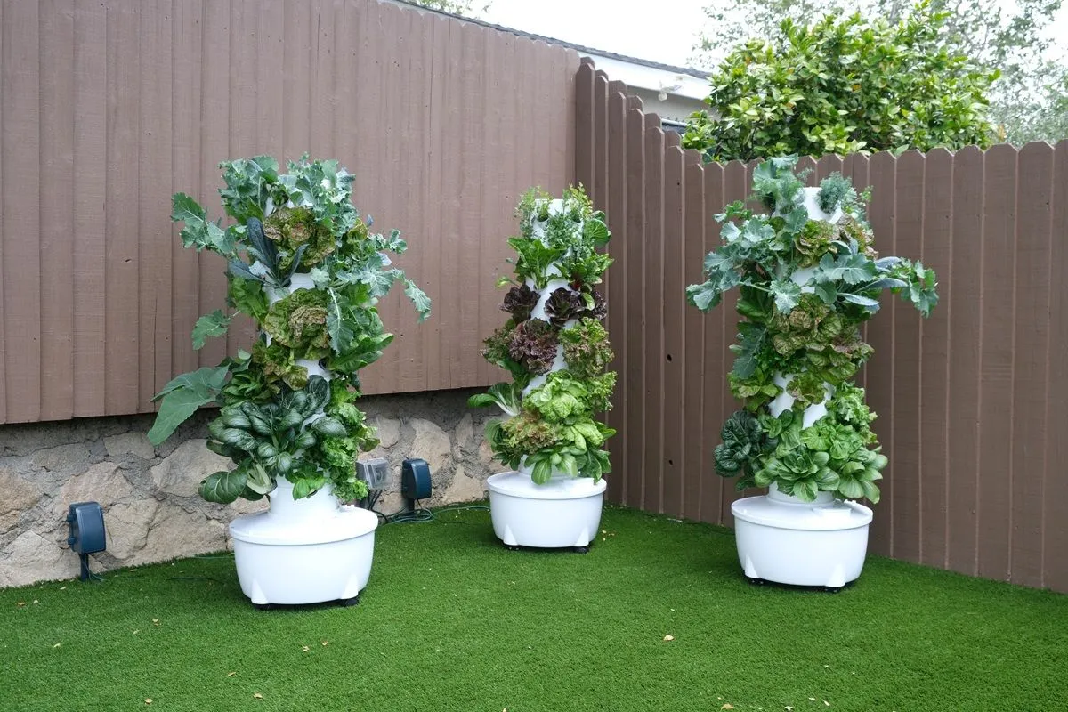 Outdoor Hydroponic Tower setup