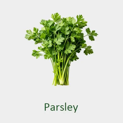 Parsley