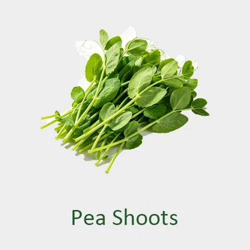 Pea Shoots