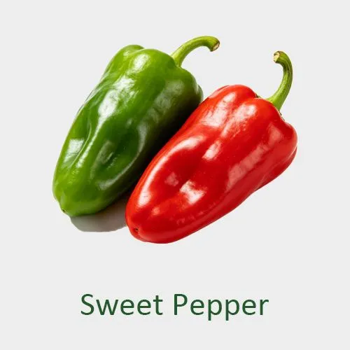 Sweet Pepper