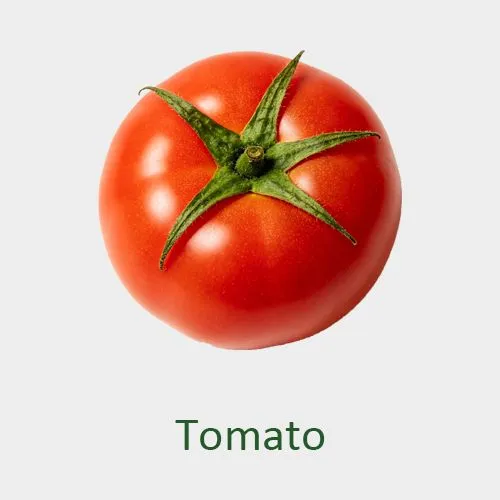 Tomato