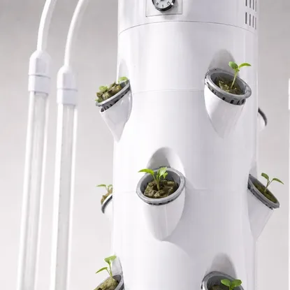 Days 1-3 Plant Growth