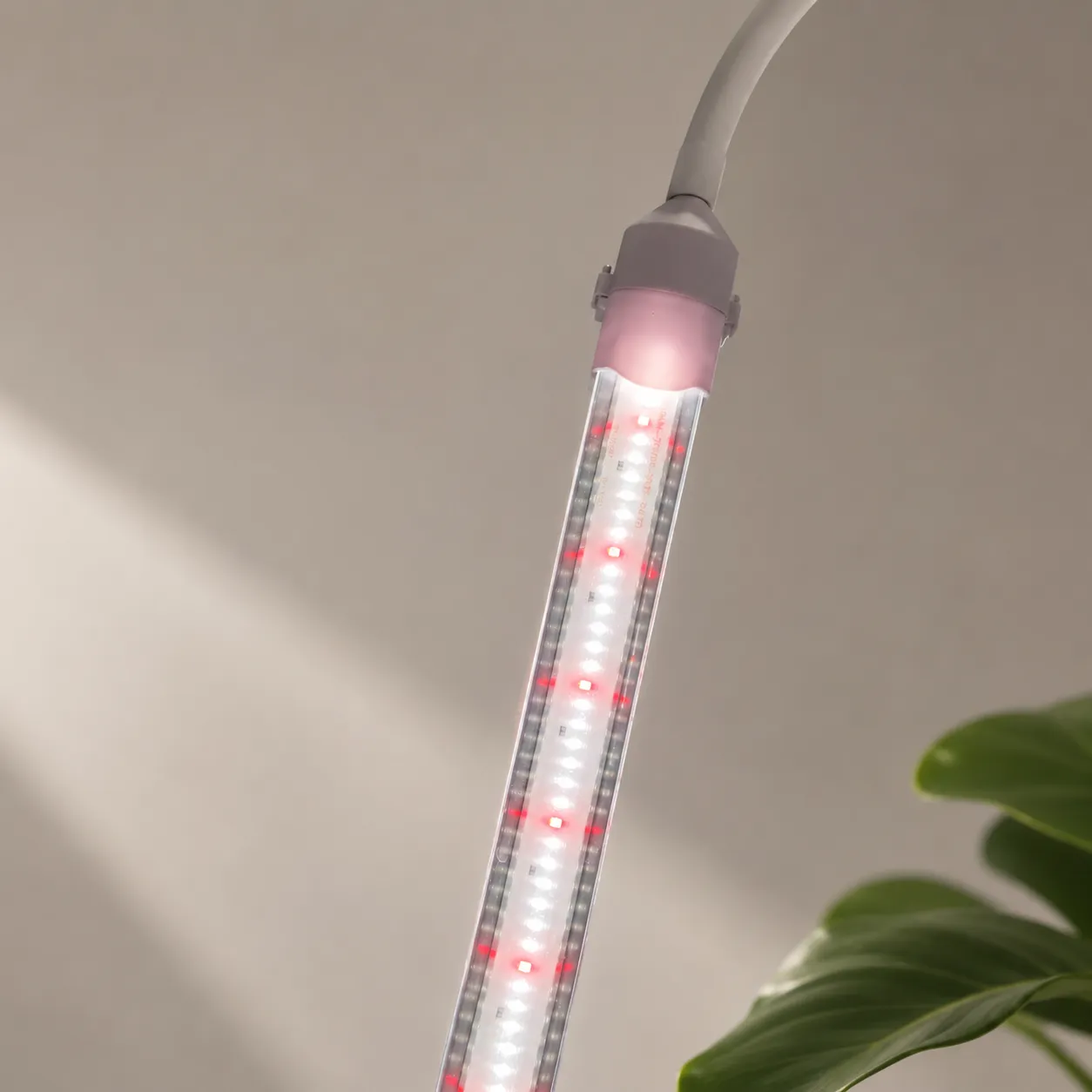 LED Grow Lights Detail