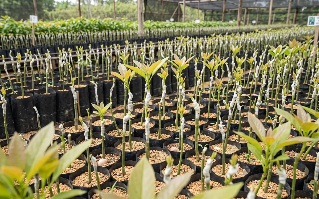 Hydroponic Seedlings Falling Over? 5 Ways to Fix It | Yunzy