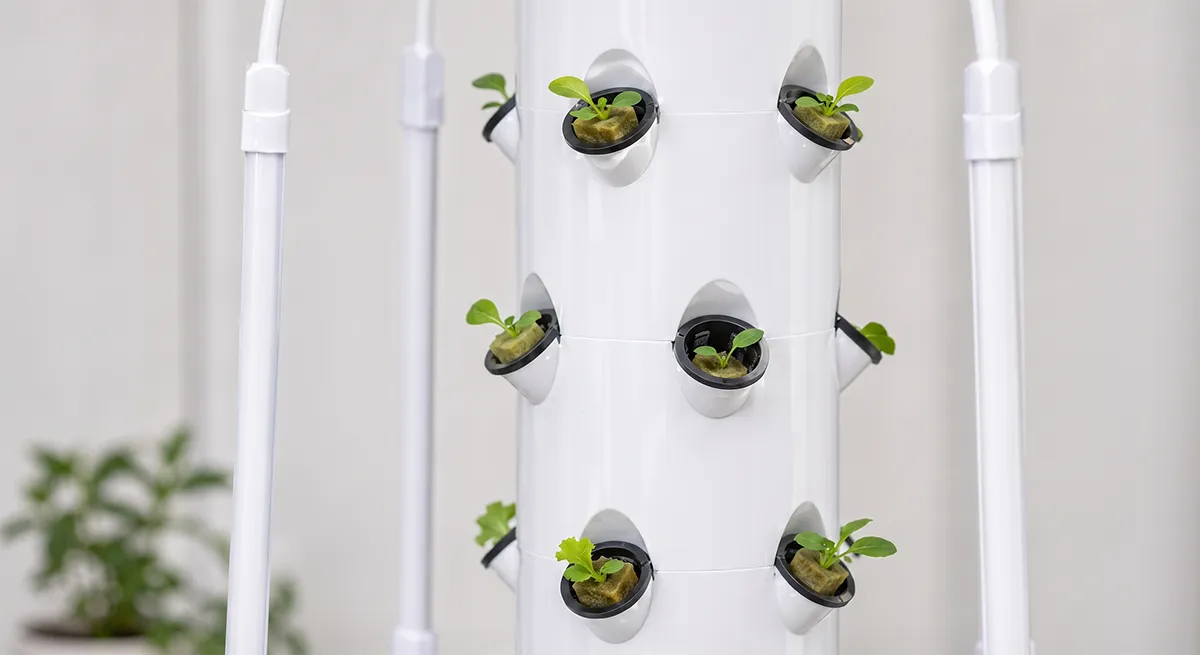 Hydroponic Tower Growing Timeline-3