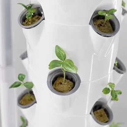 Weeks 1-2 Plant Growth