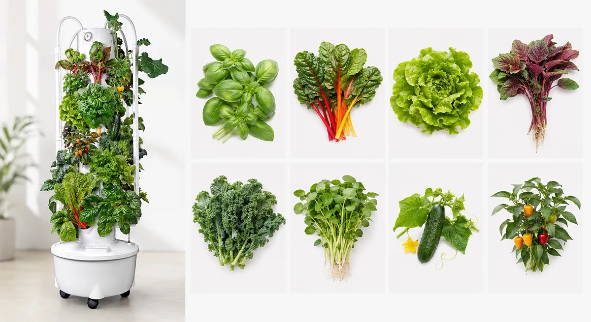 best summer crops hydroponic-tower garden-1