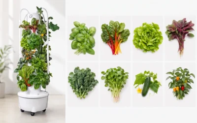 8 Best Summer Crops for a Hydroponic Tower Garden: Heat-Tolerant Vegetables and Herbs for the Yunzy V8