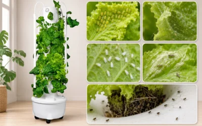 How to Prevent Pests in a Hydroponic Tower Garden: A Practical Maintenance Guide