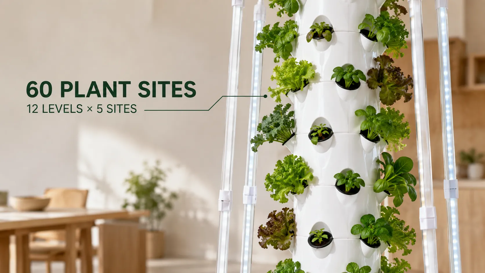 60-Site High-Yield Harvest